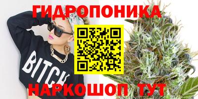 spice Новозыбков
