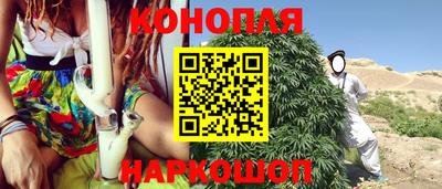 ECSTASY Новодвинск