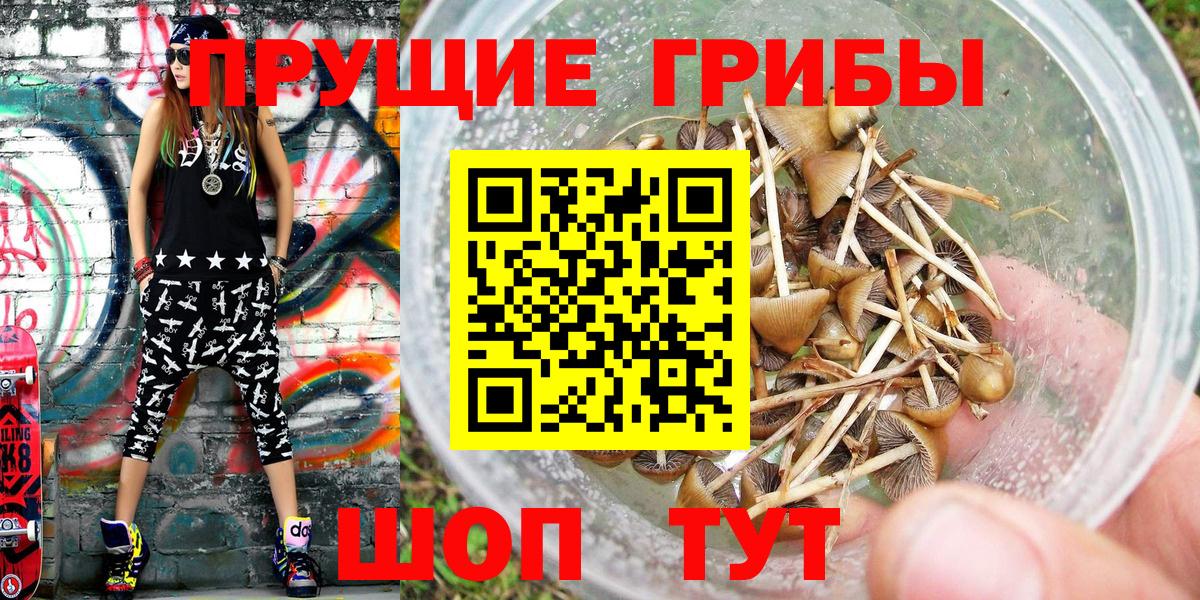 Псилоцибиновые грибы прущие грибы Ступино
