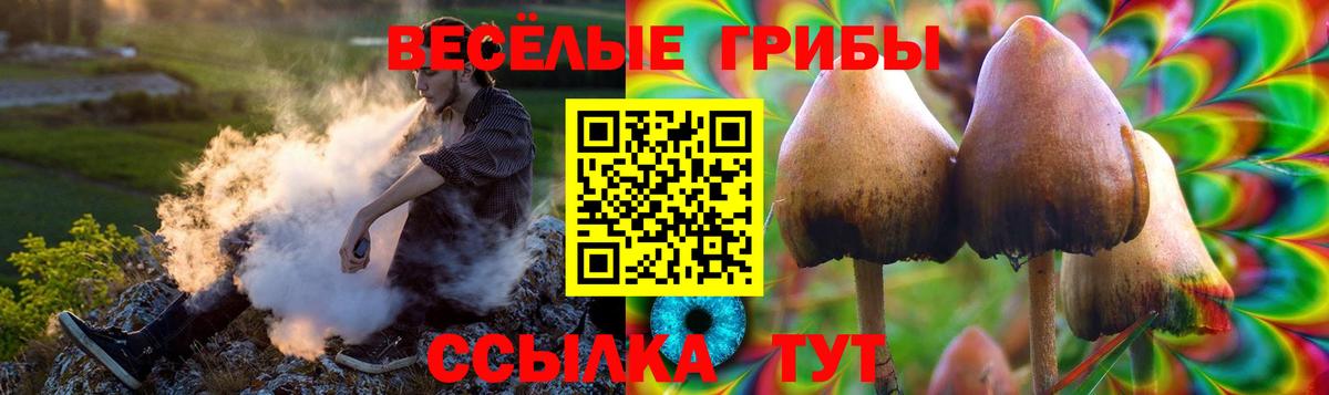 купить   Вход с VPN  Ступино  Псилоцибиновые грибы прущие грибы  Галлюциногенные грибы MAGIC MUSHROOMS 