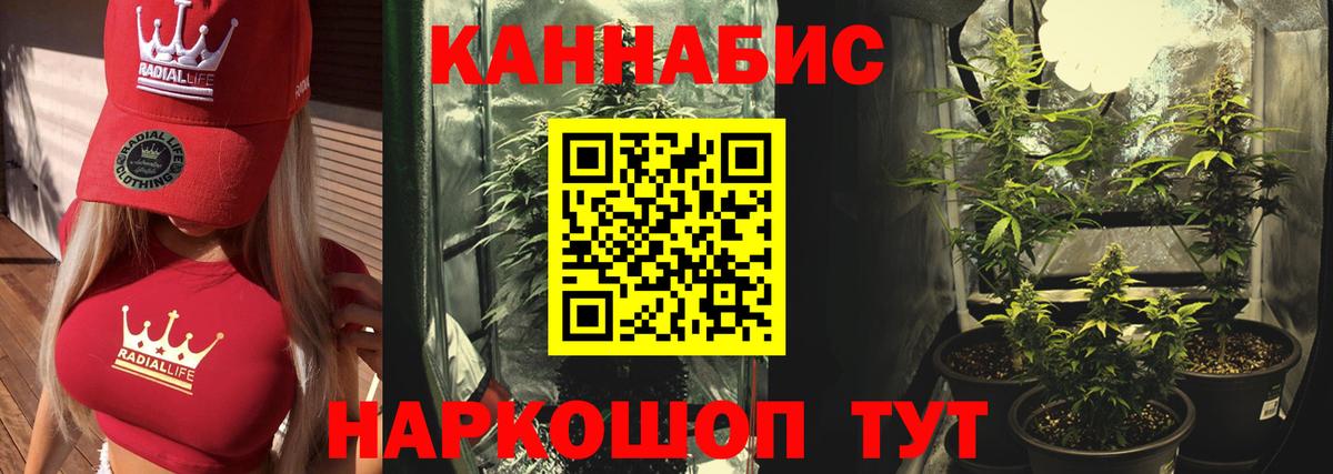 Канабис сатива  Бошки марихуана Bruce Banner  Вход с VPN  Марихуана Ganja  Ступино 